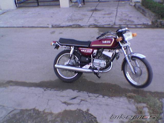 Photo 271401