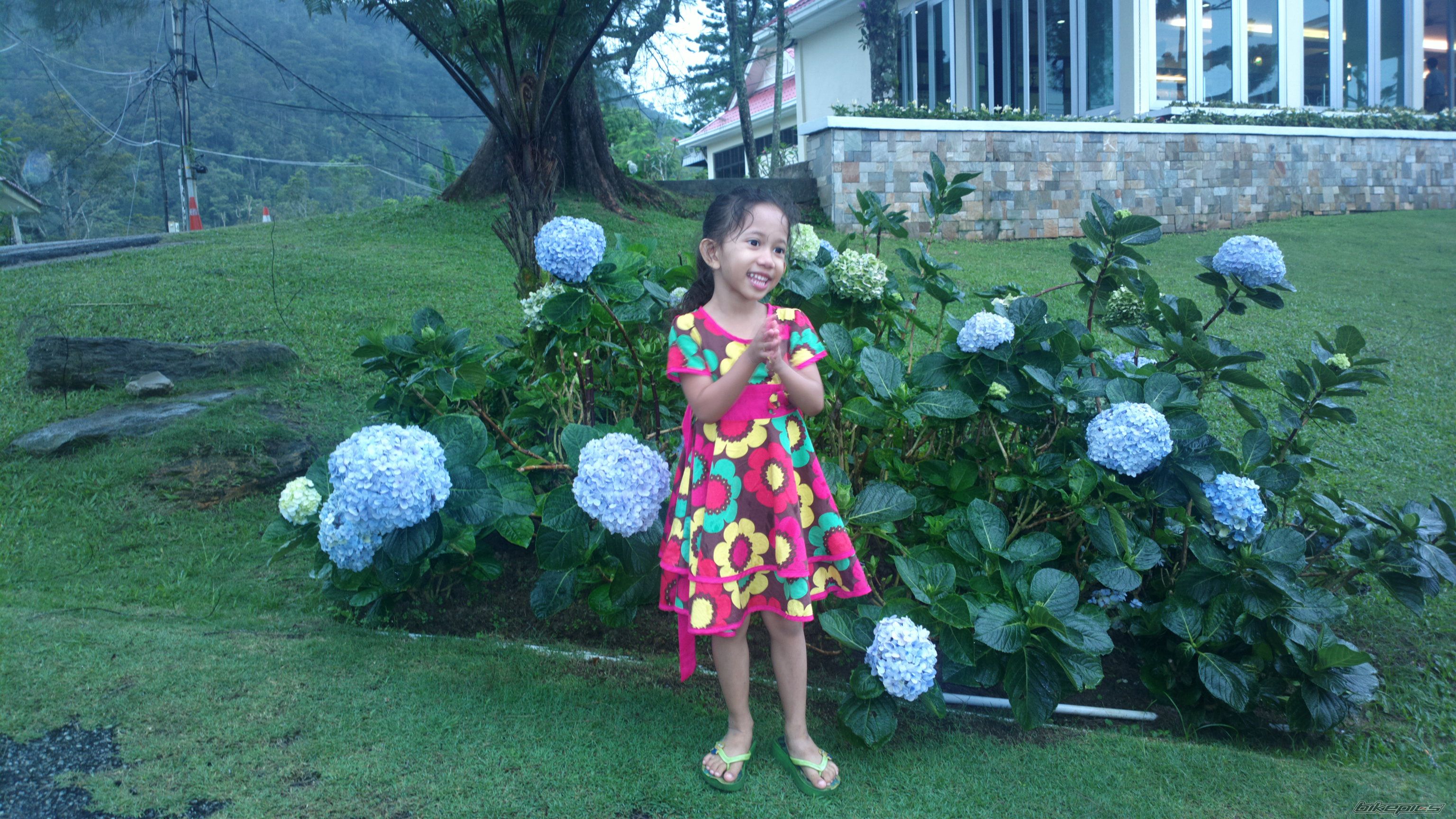 Photo 2714031