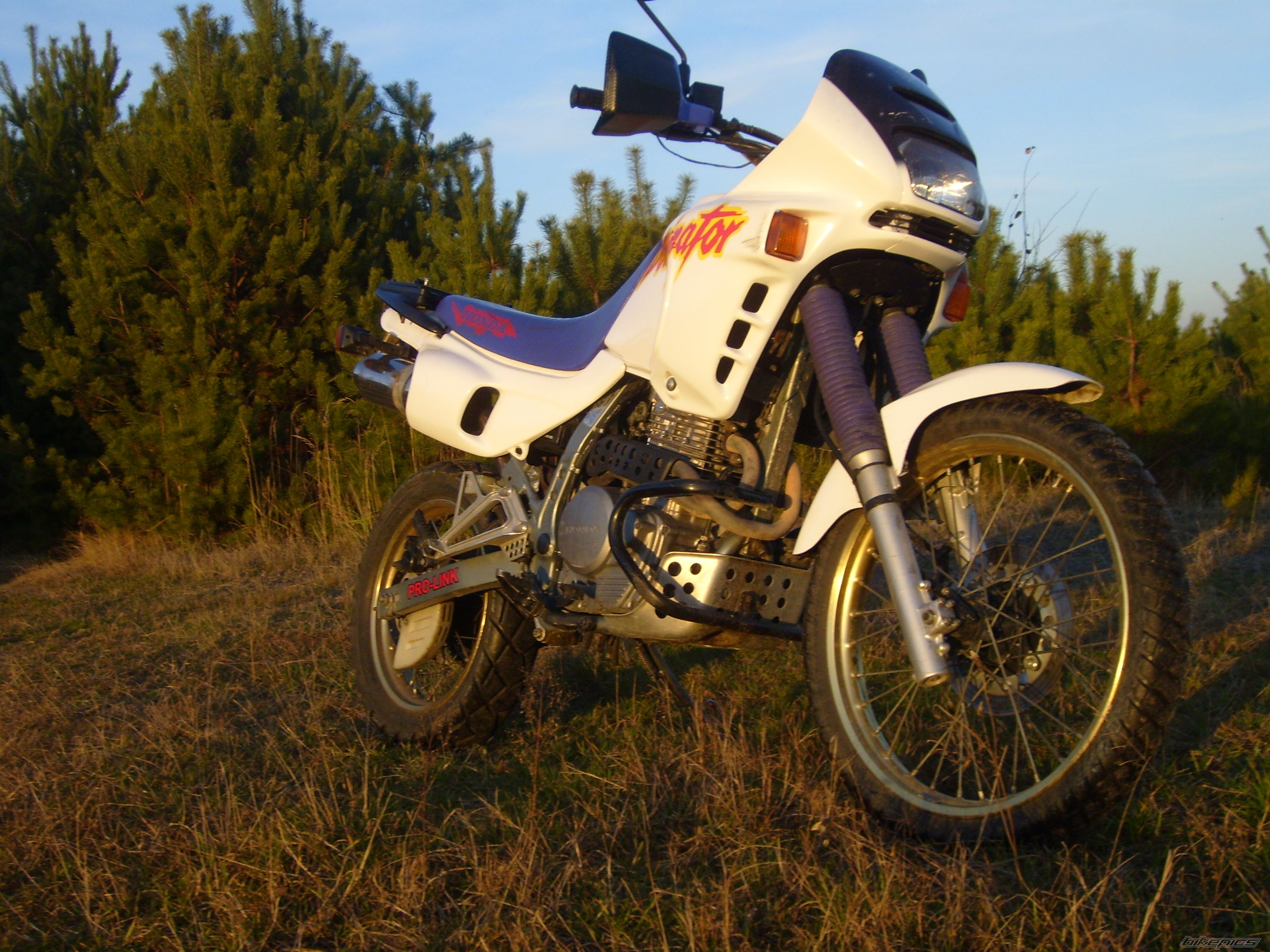 Photo 2714110