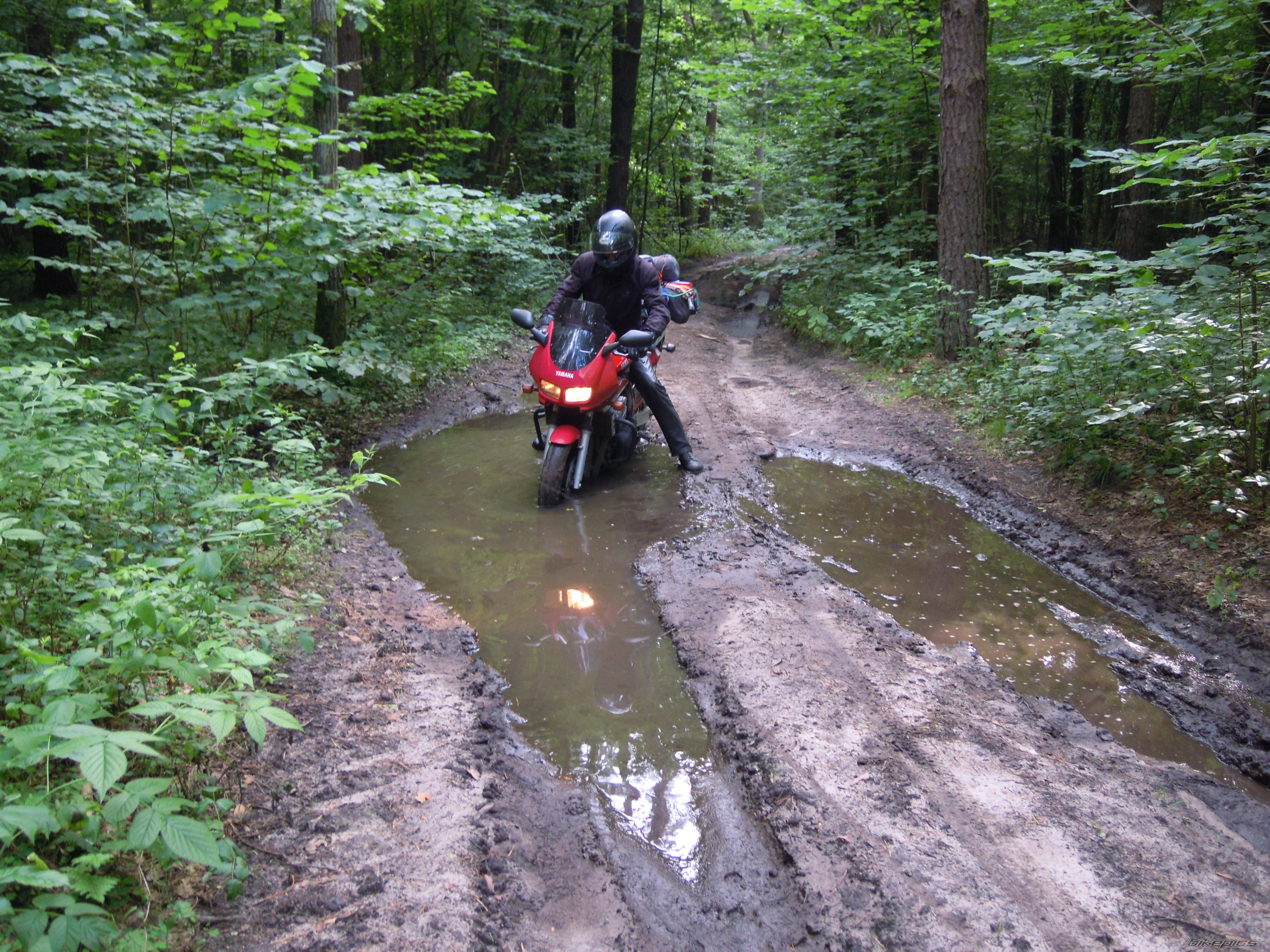 Photo 2714154
