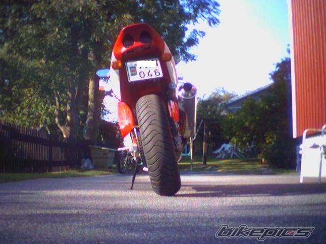 Photo 271416