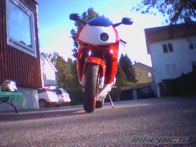 Photo 271417