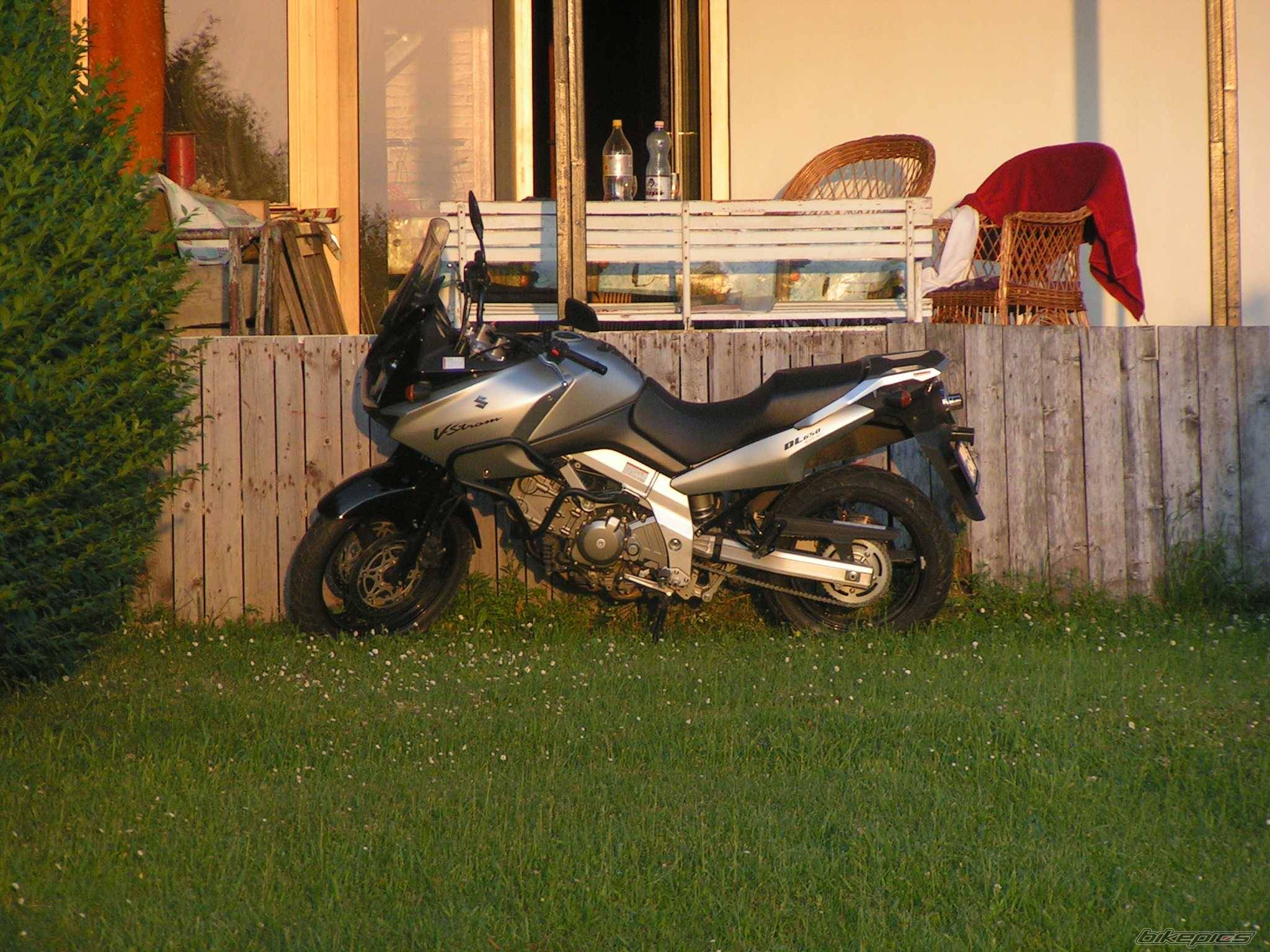 Photo 271439