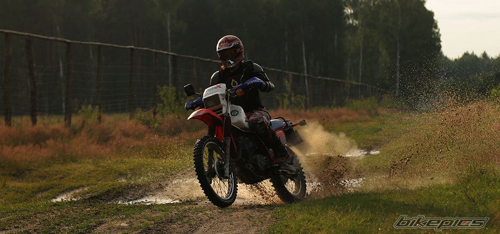 Photo 2714391