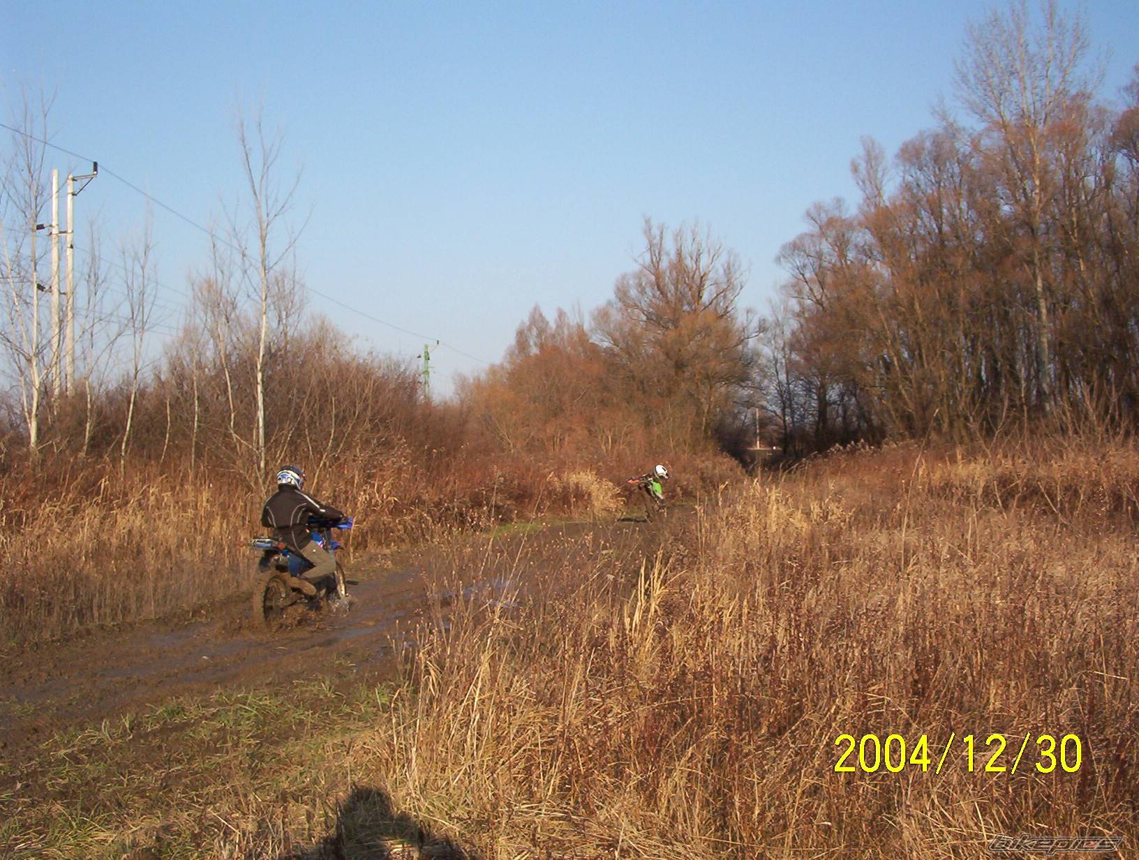 Photo 271444