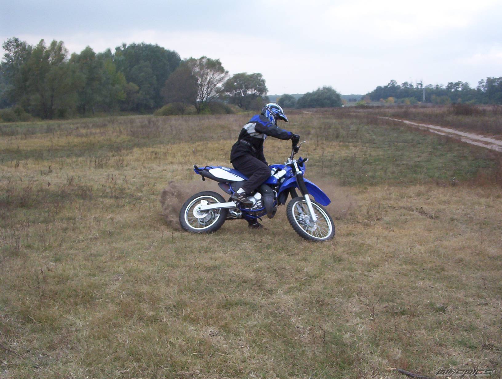 Photo 271446