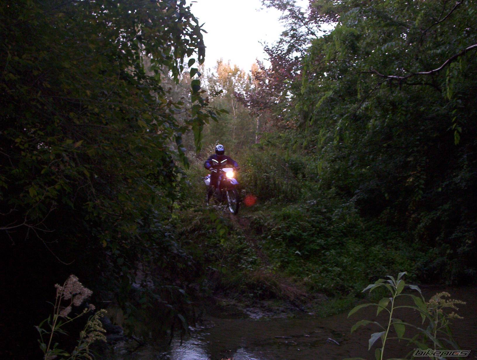 Photo 271447