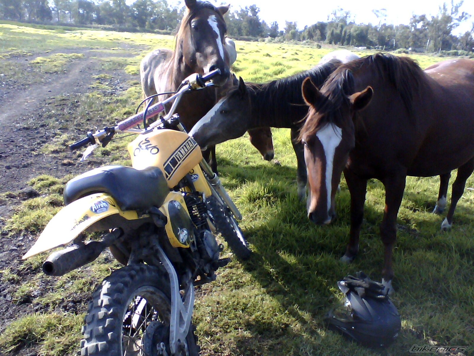 Photo 2714611