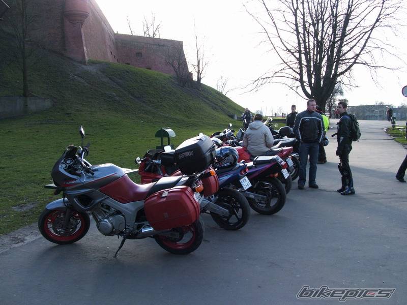 Photo 271464