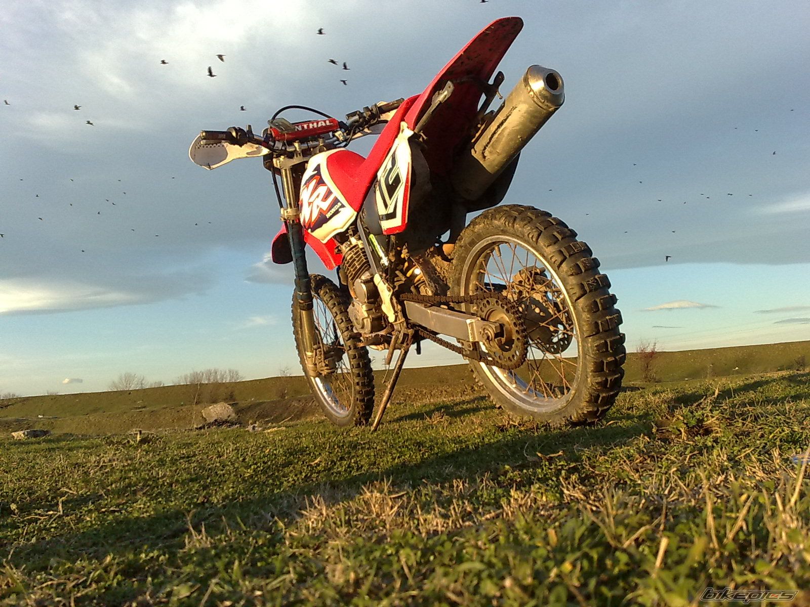 Photo 2714774