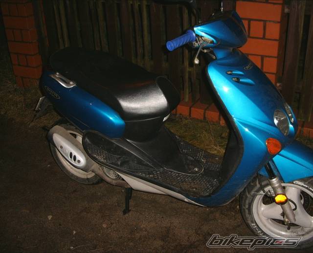 Photo 271505