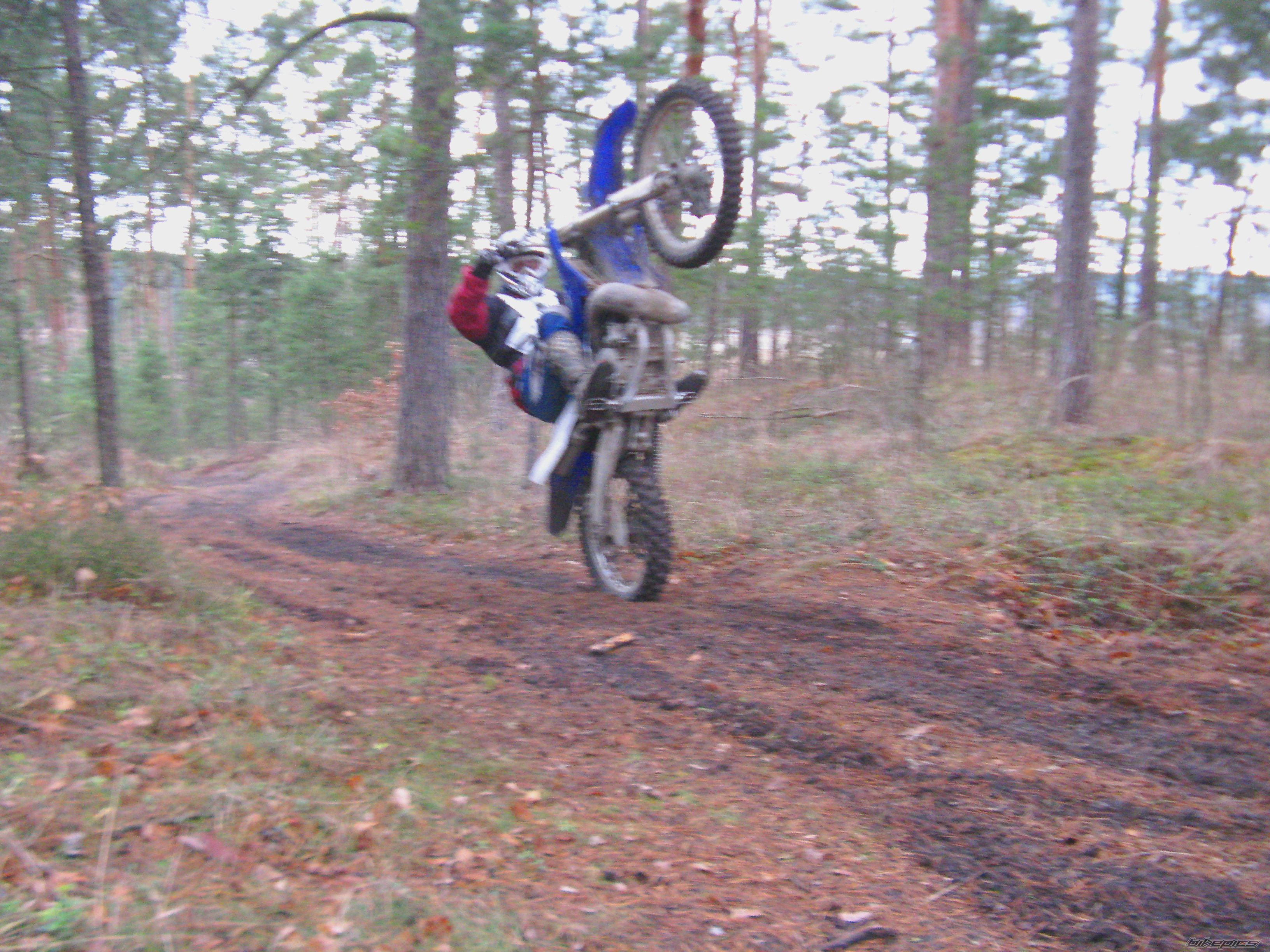 Photo 2715110