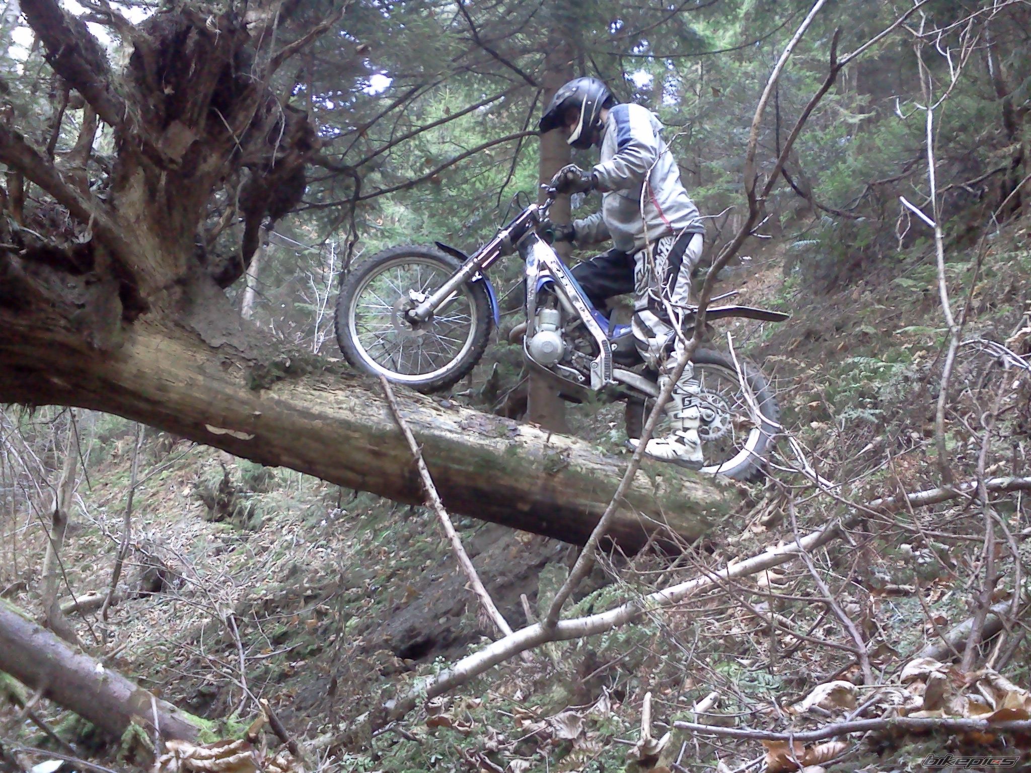 Bike Photo 2715299