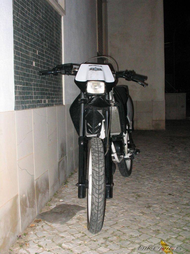 Photo 271552