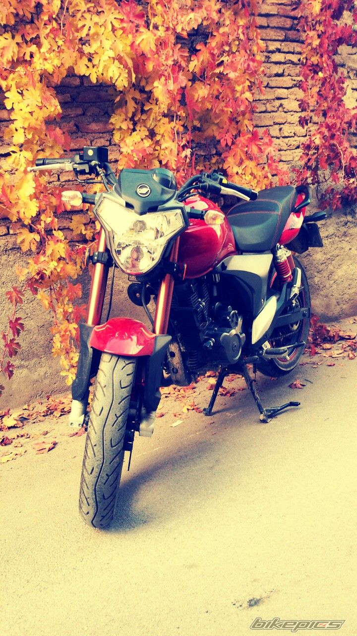 Bike Photo 2715809