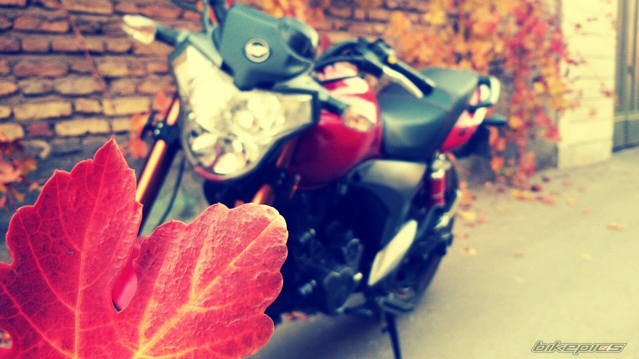 Bike Photo 2715810