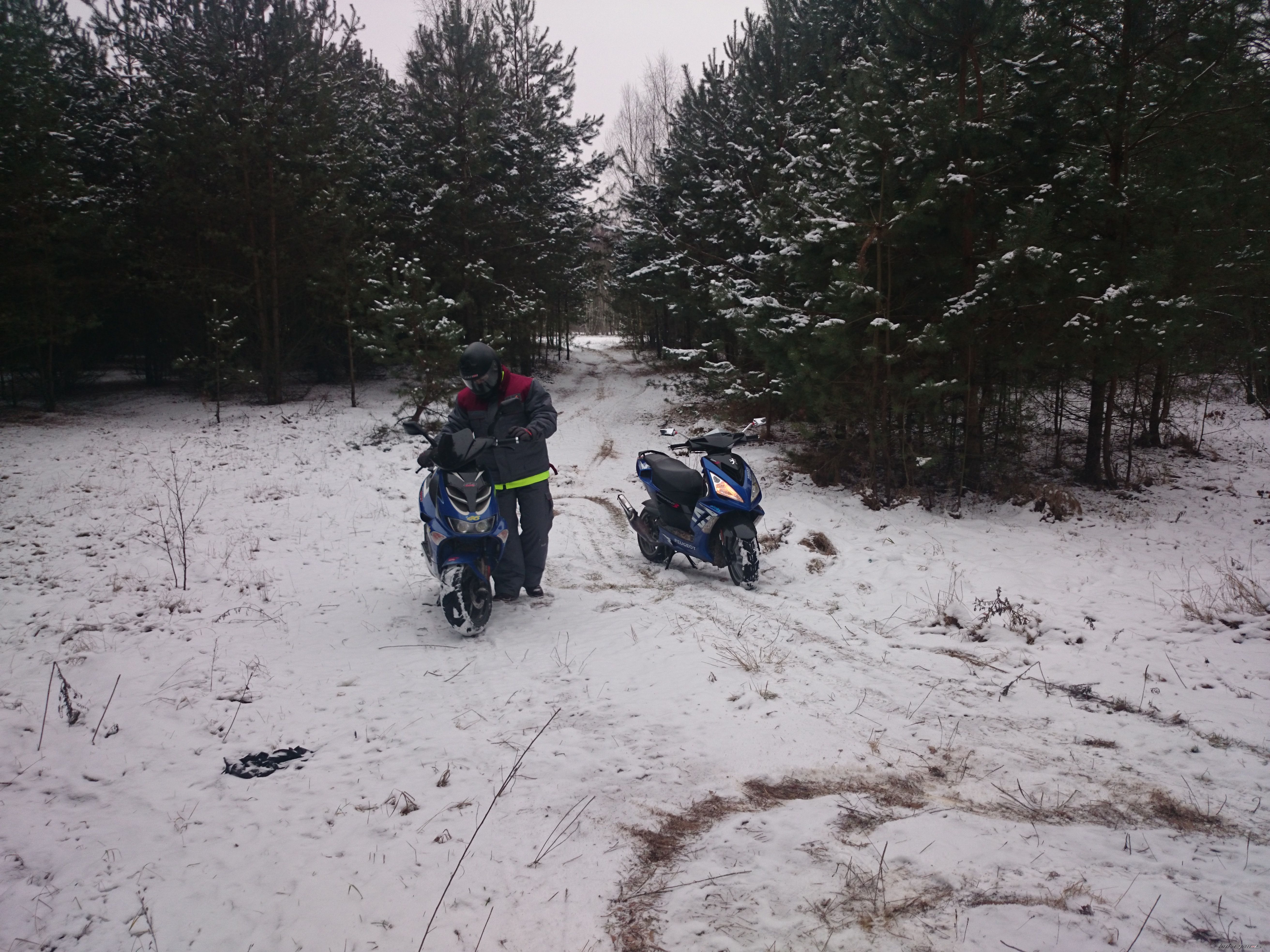 Photo 2716115