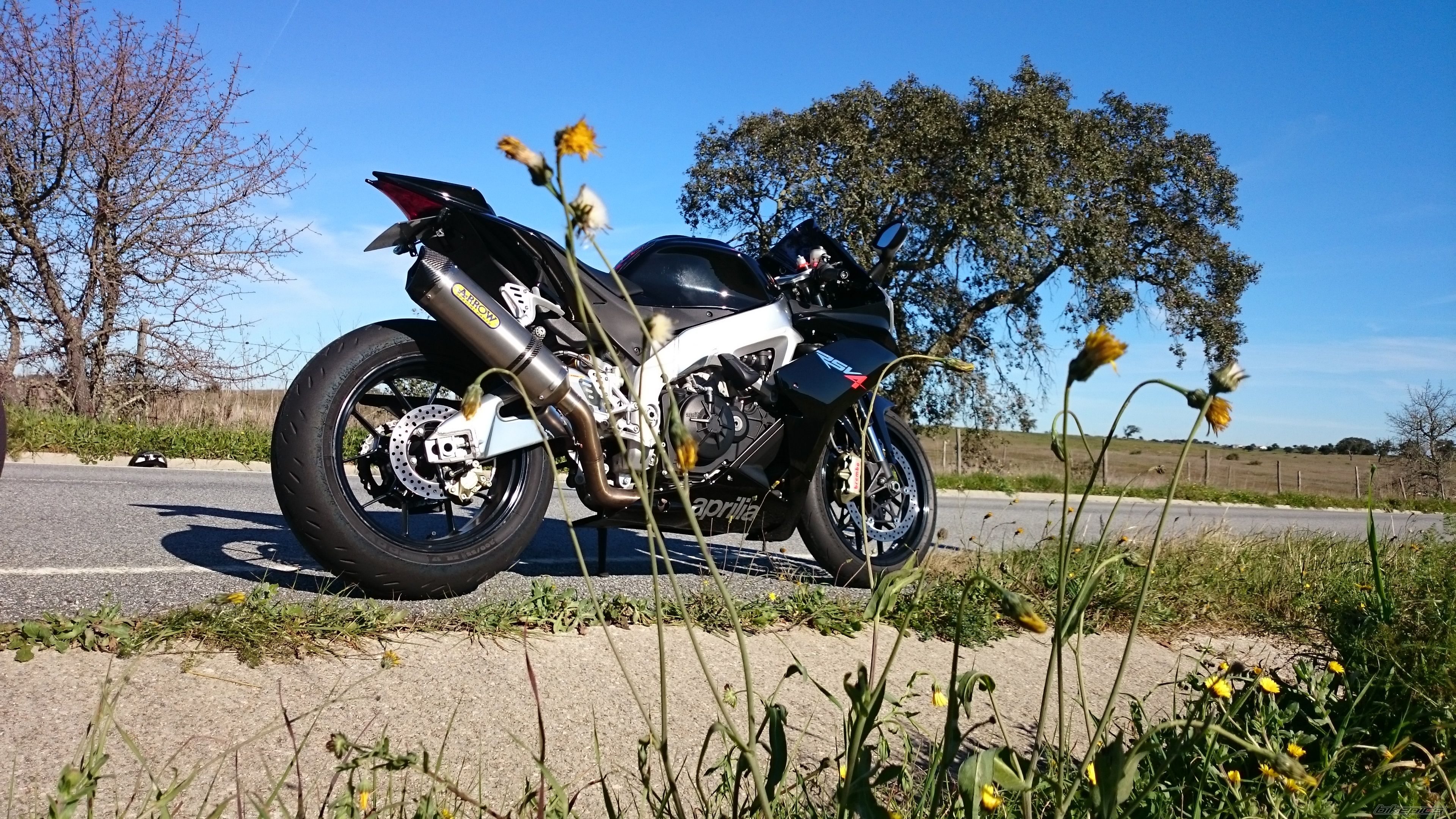 Photo 2716133