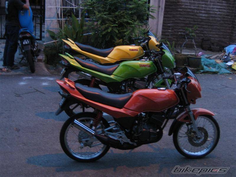 Photo 271621