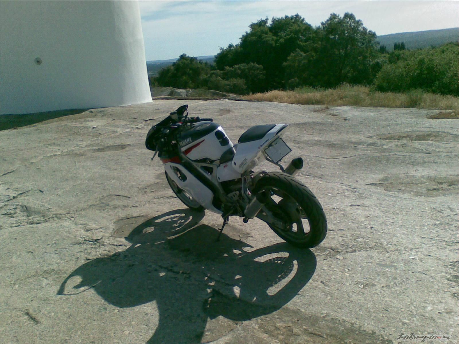 Photo 2716266