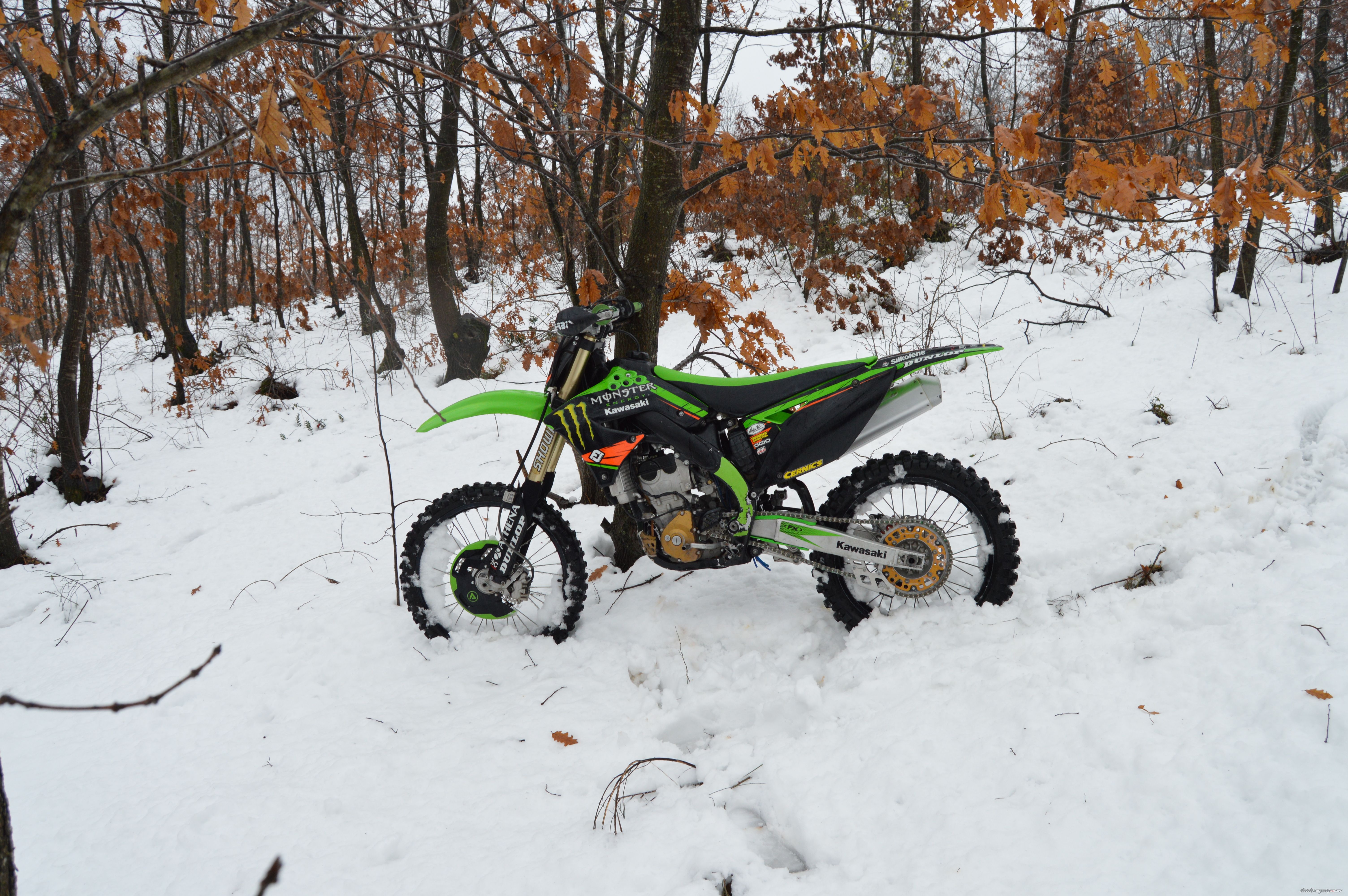 Photo 2716306
