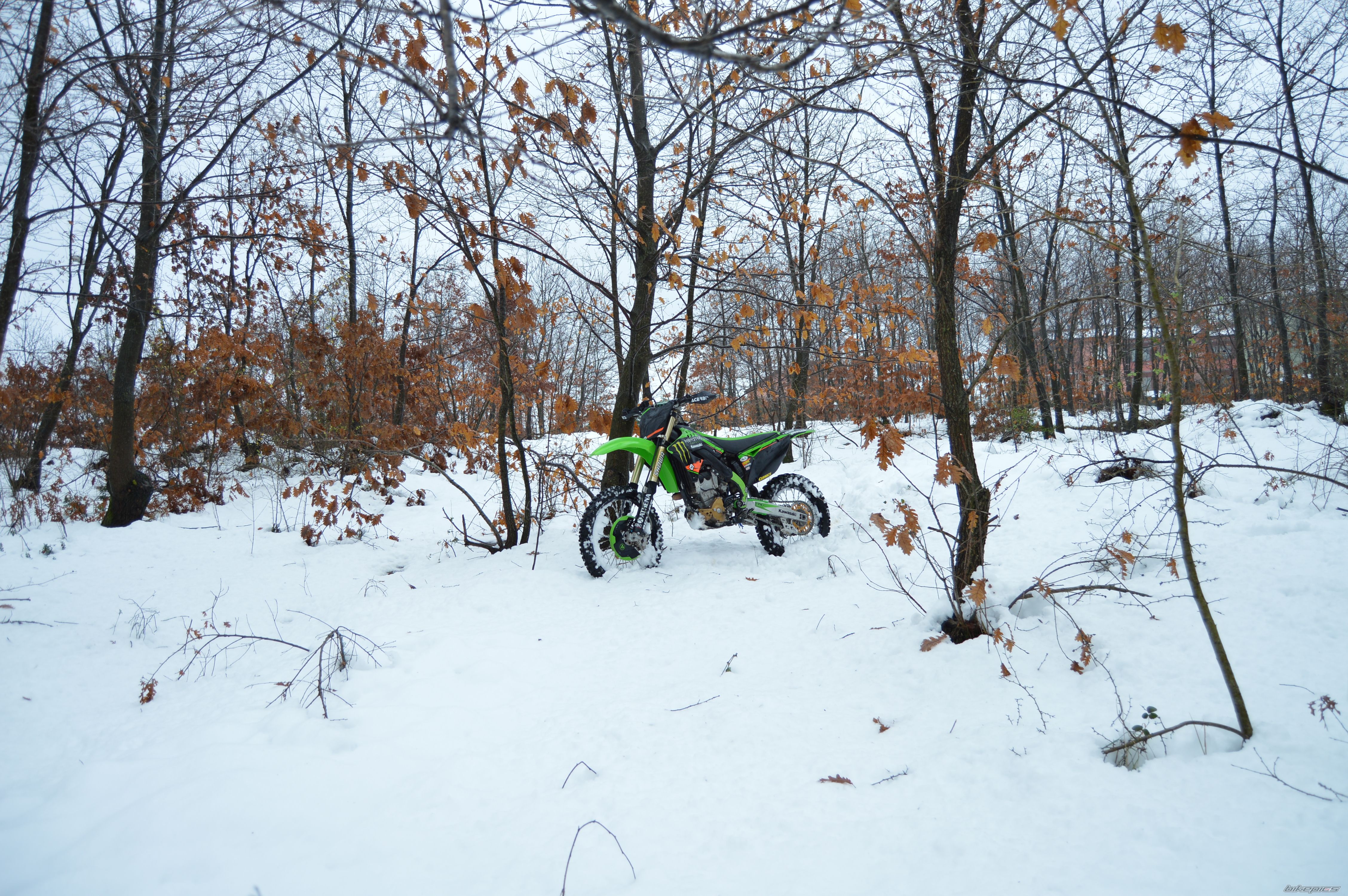 Photo 2716342