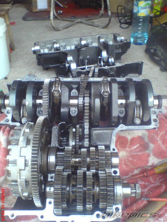 Photo 2716427