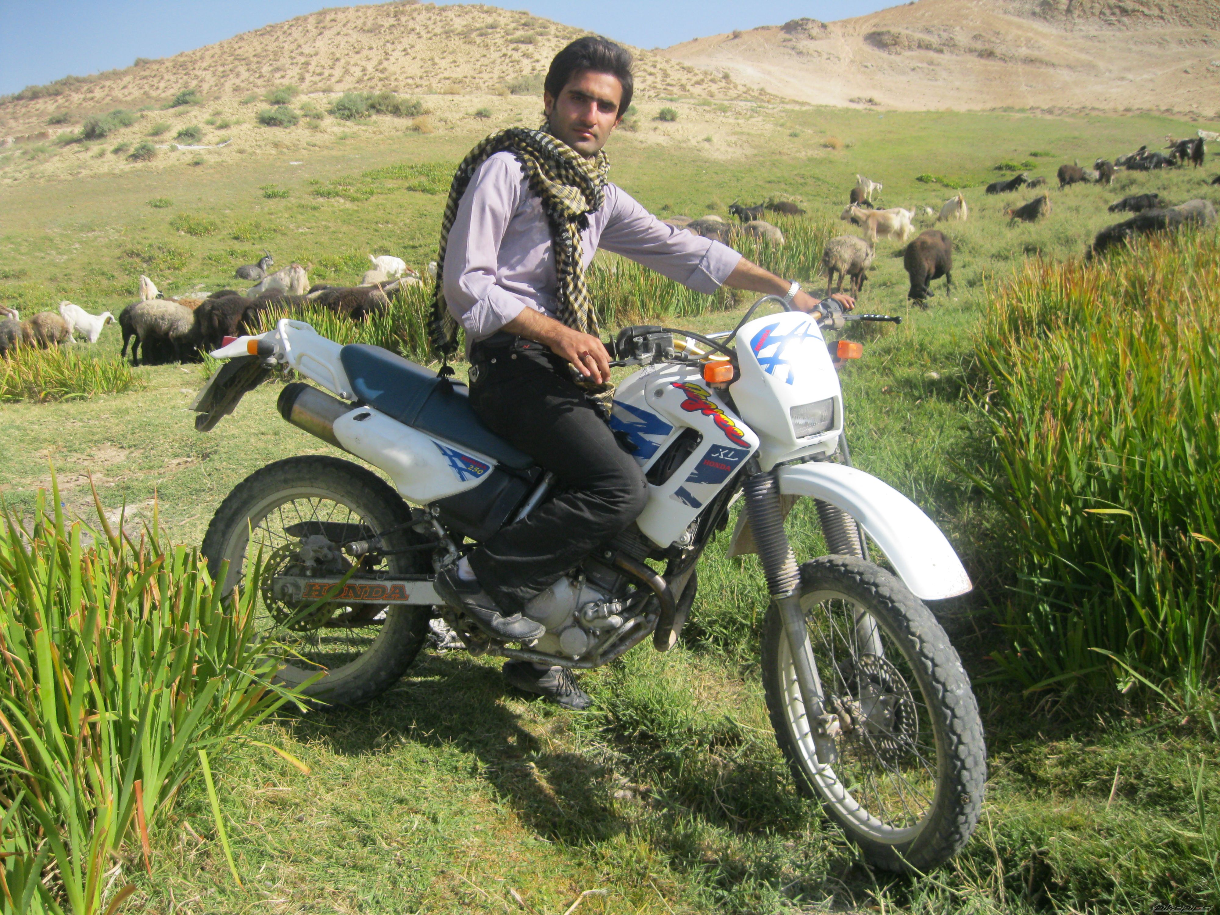 Photo 2716453