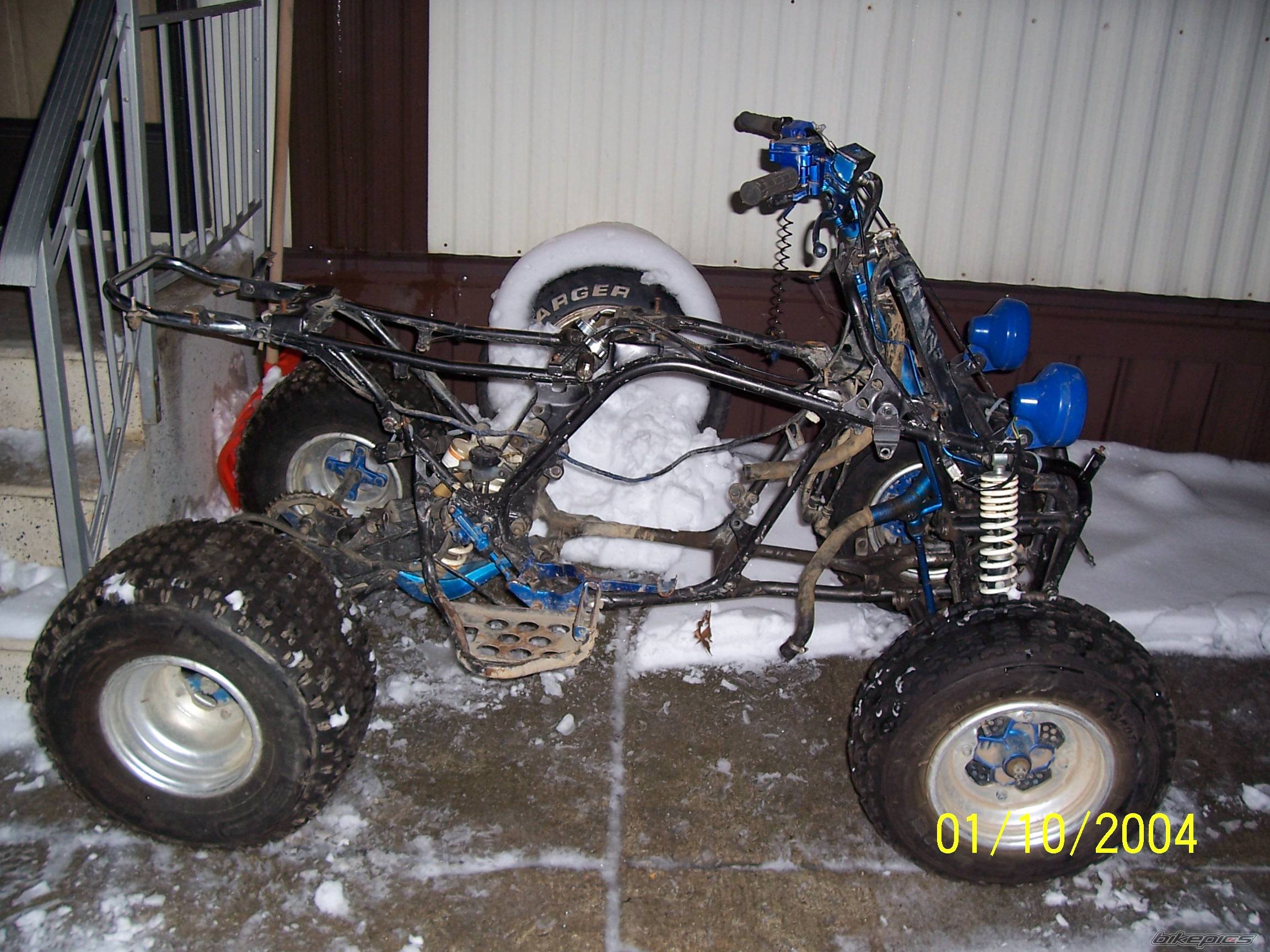 Photo 271670