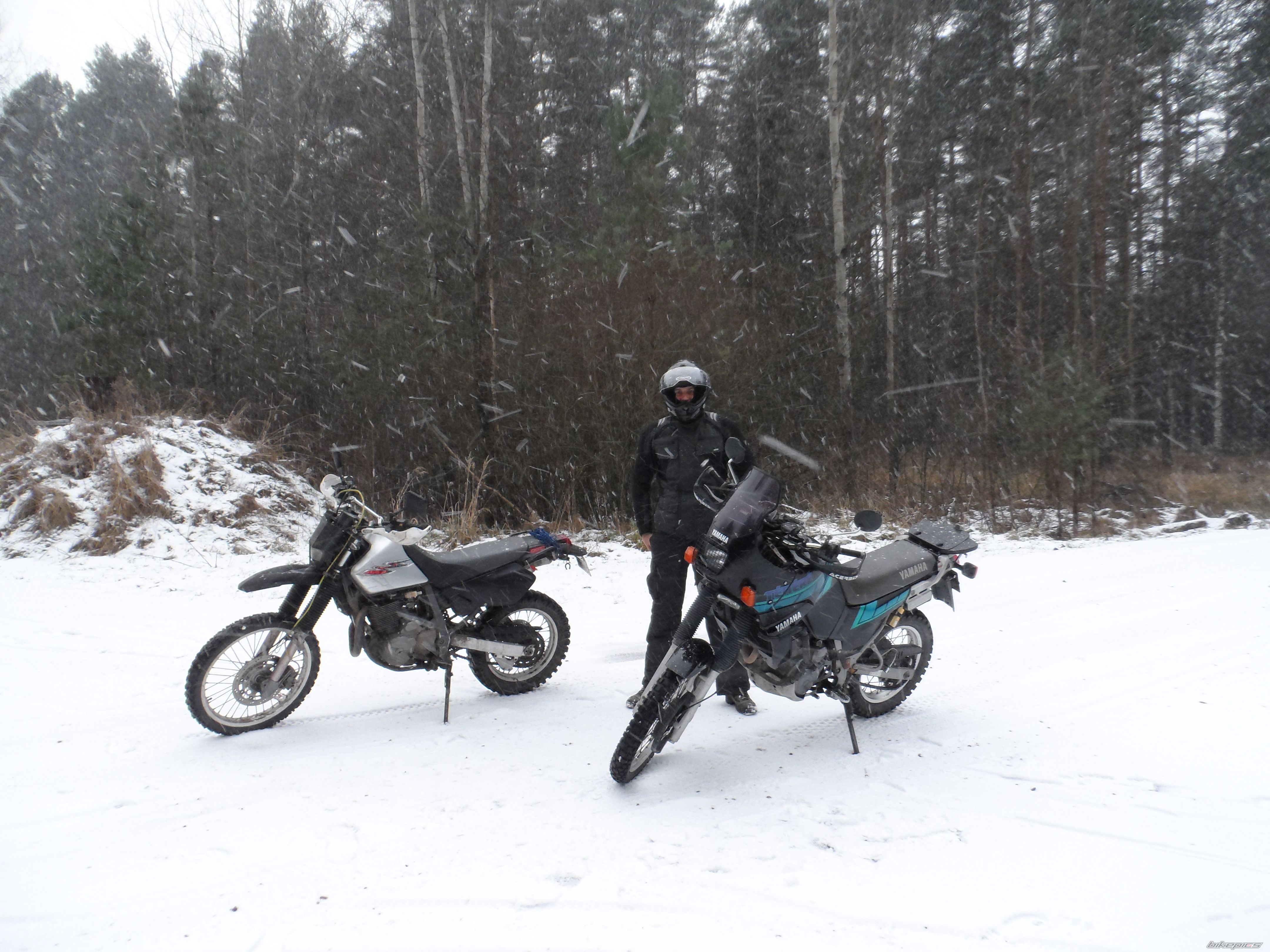 Photo 2716724