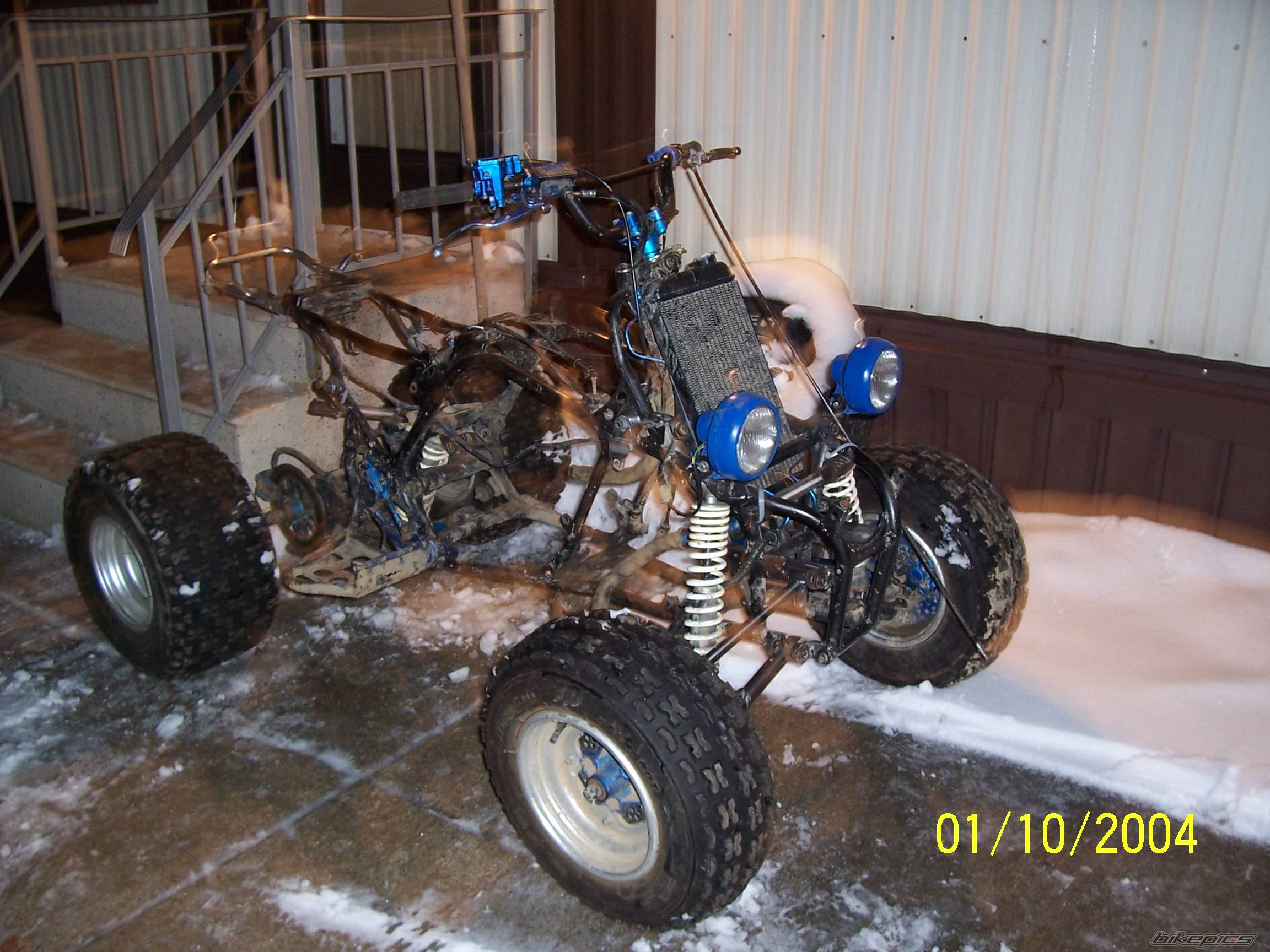 Photo 271675