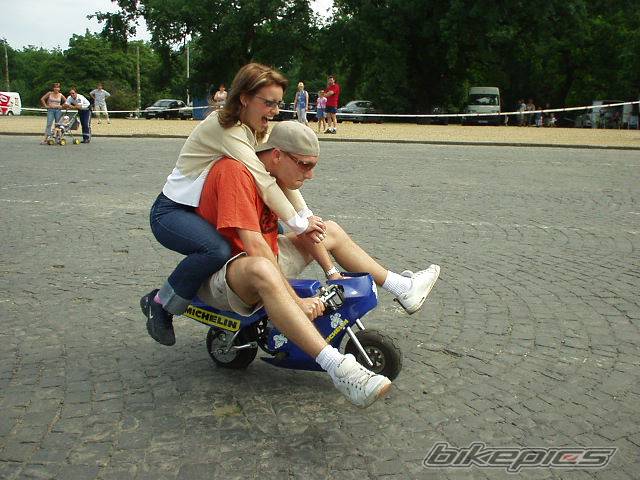 Photo 271691