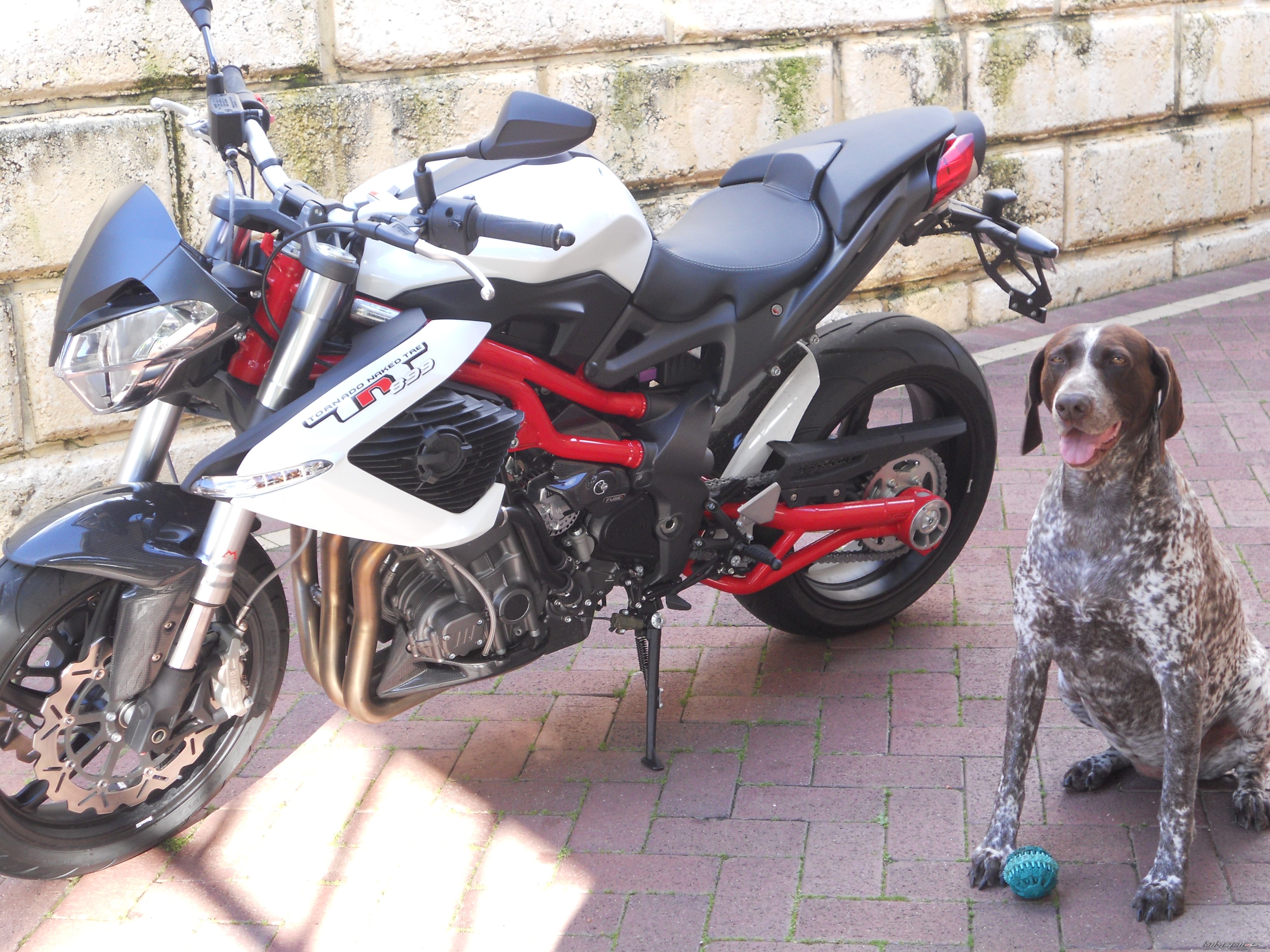 Photo 2717370