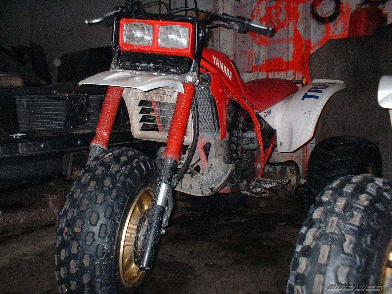 Bike Photo 271765