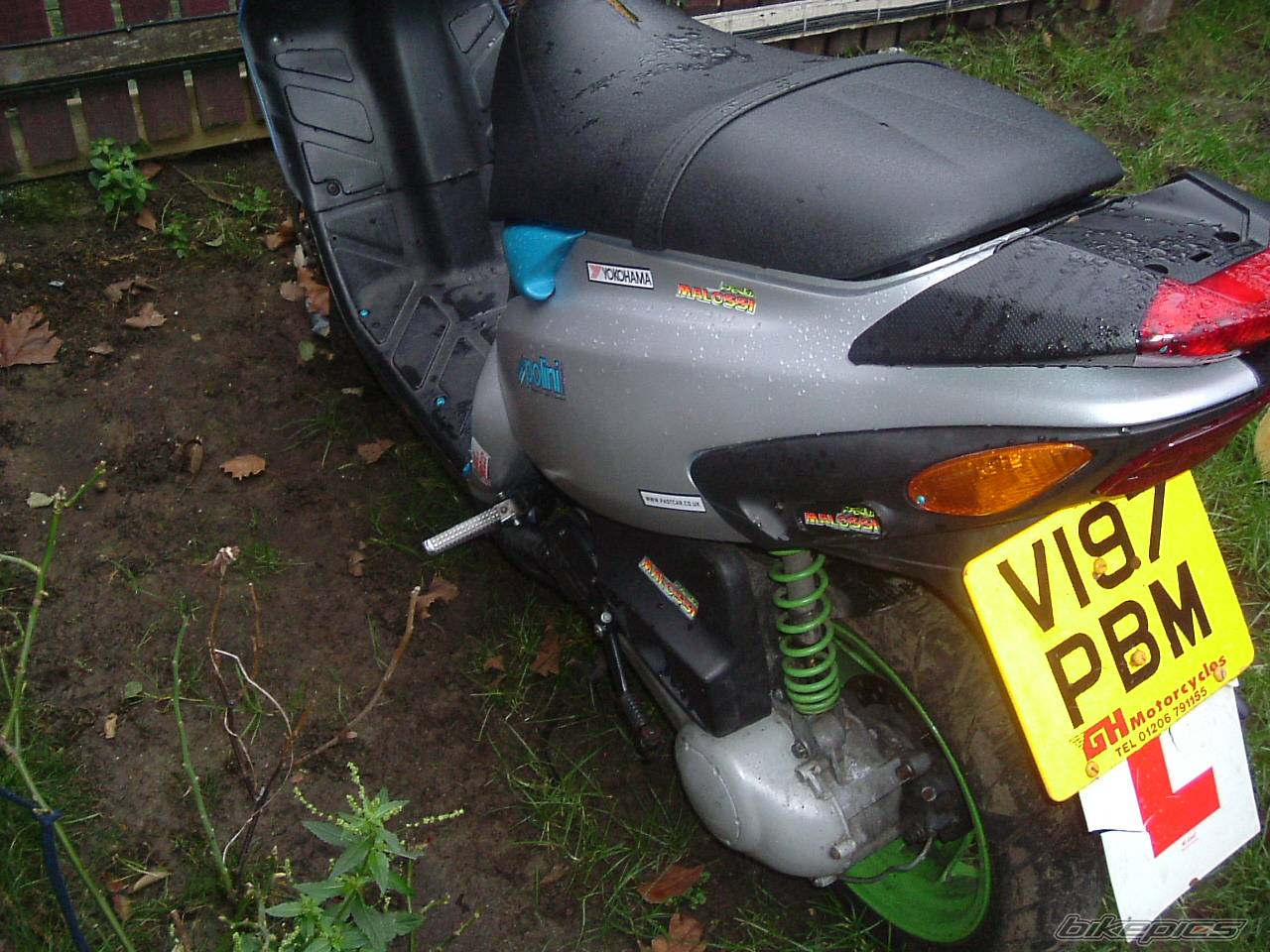 Photo 271770