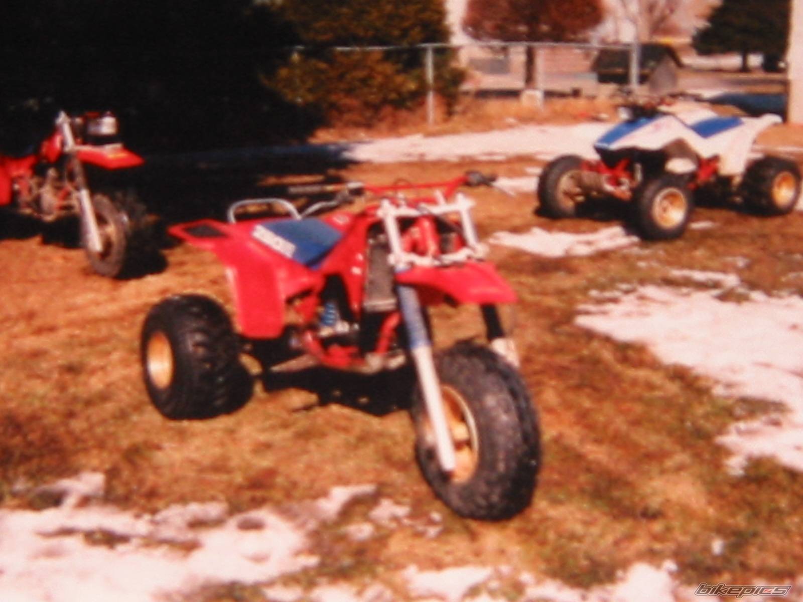 Photo 271773