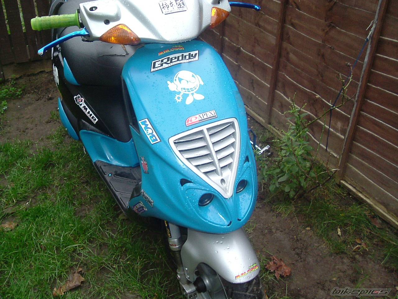 Photo 271774