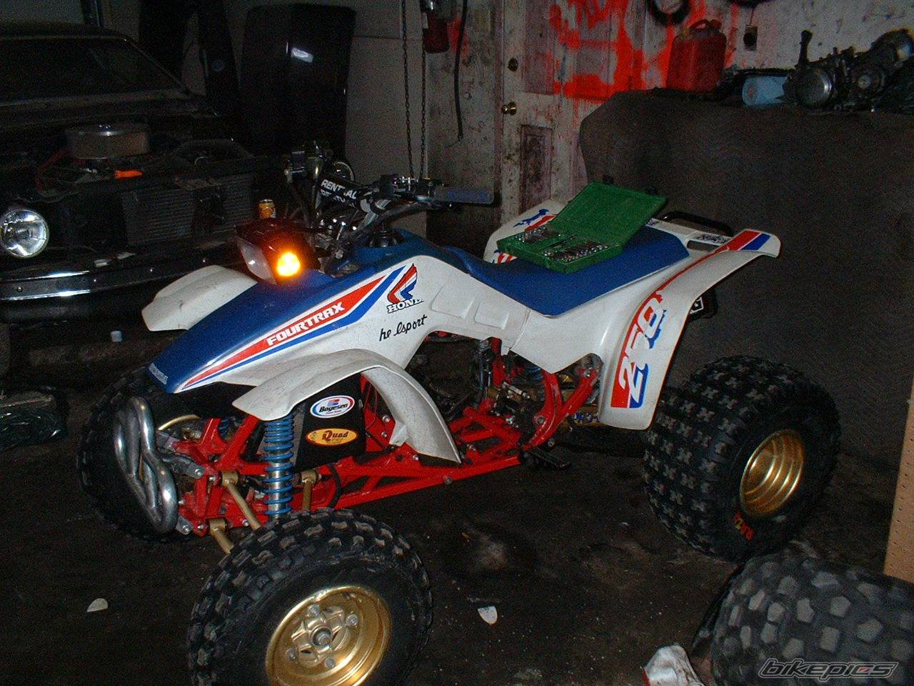 Photo 271775