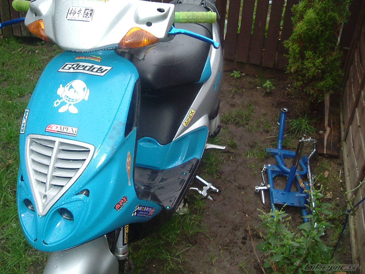 Photo 271776