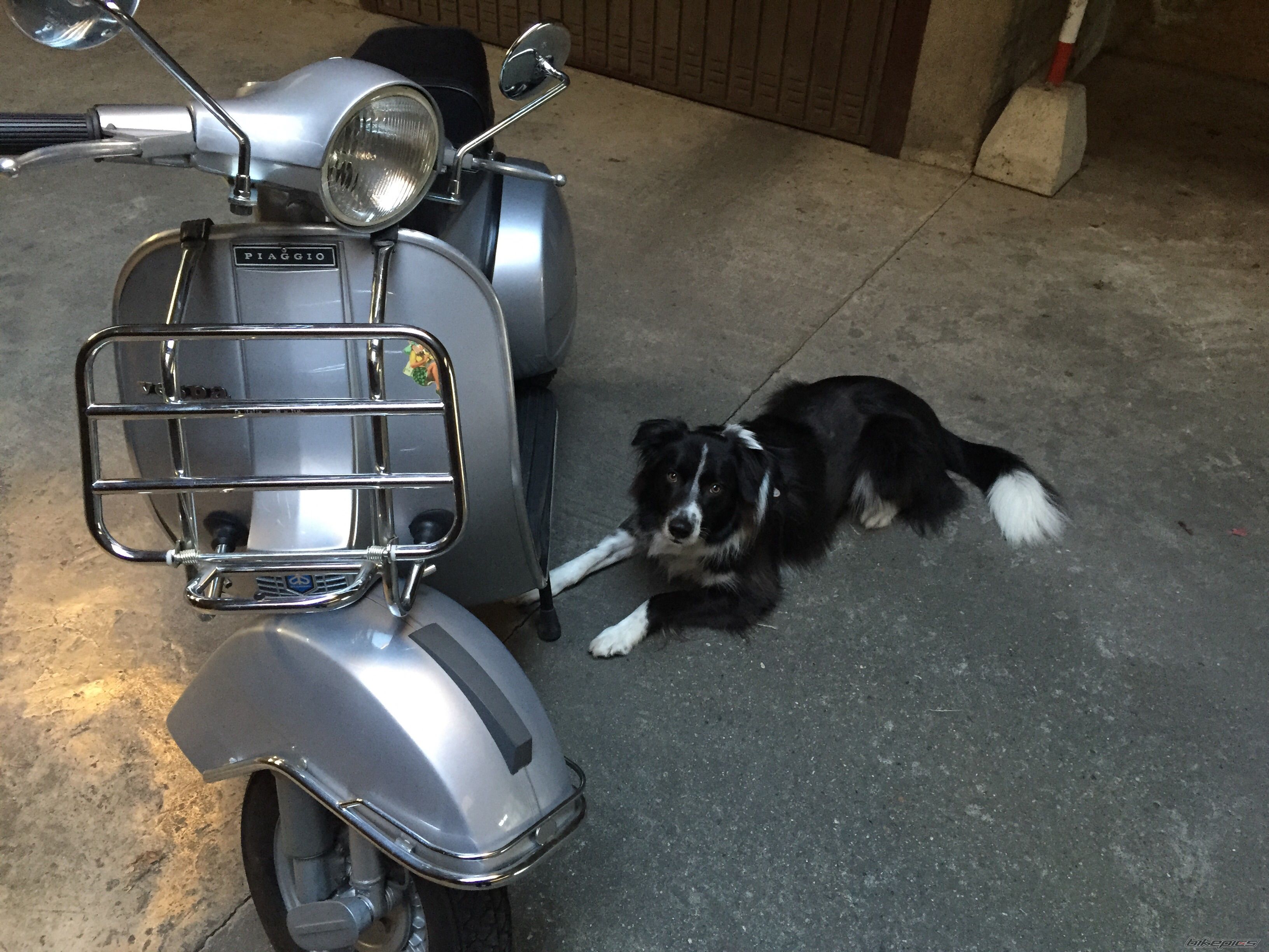 Photo 2717769