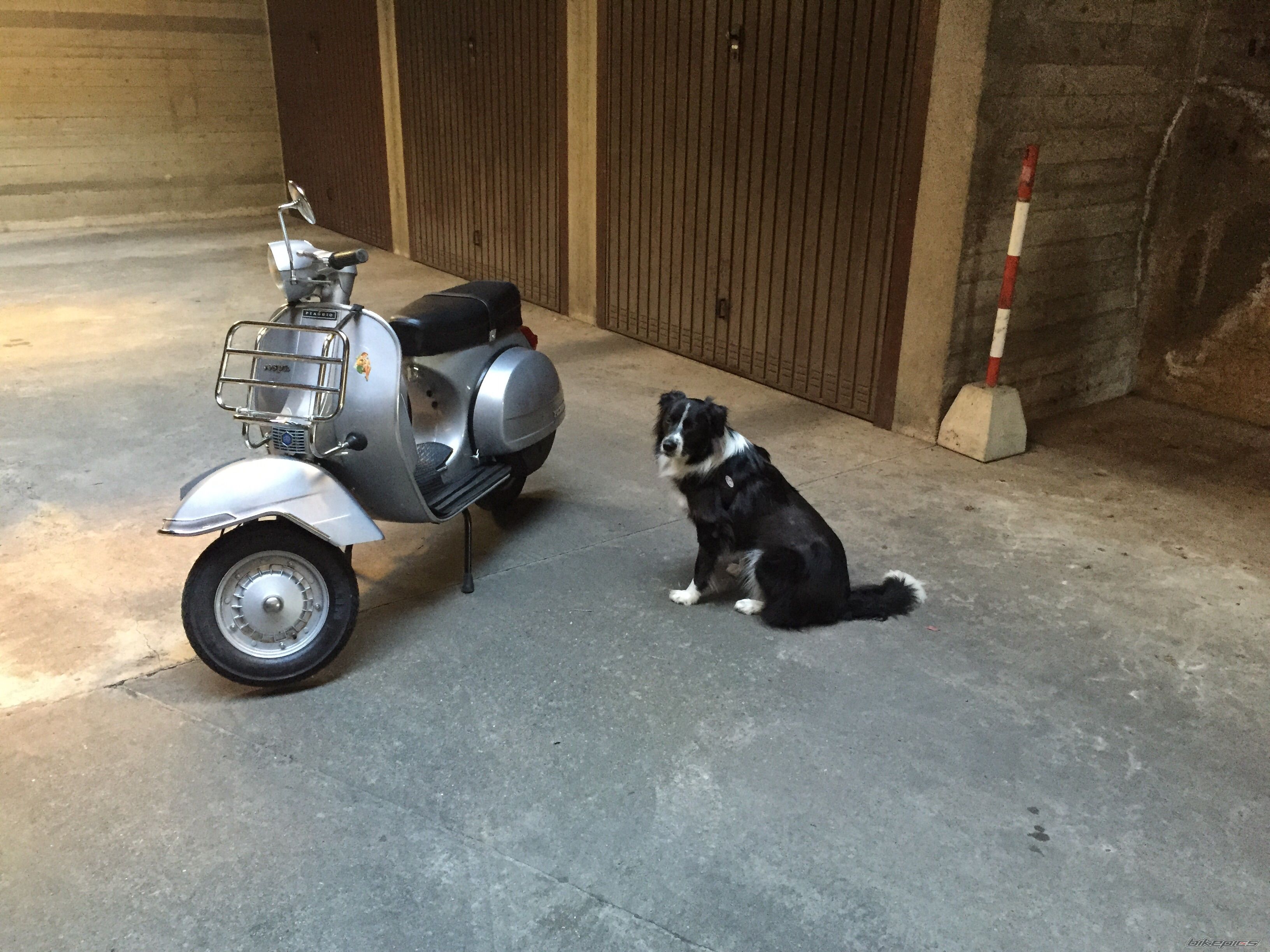 Photo 2717770