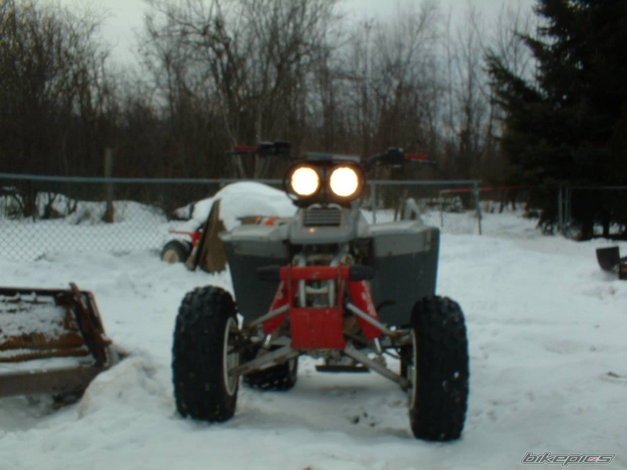 Photo 271779