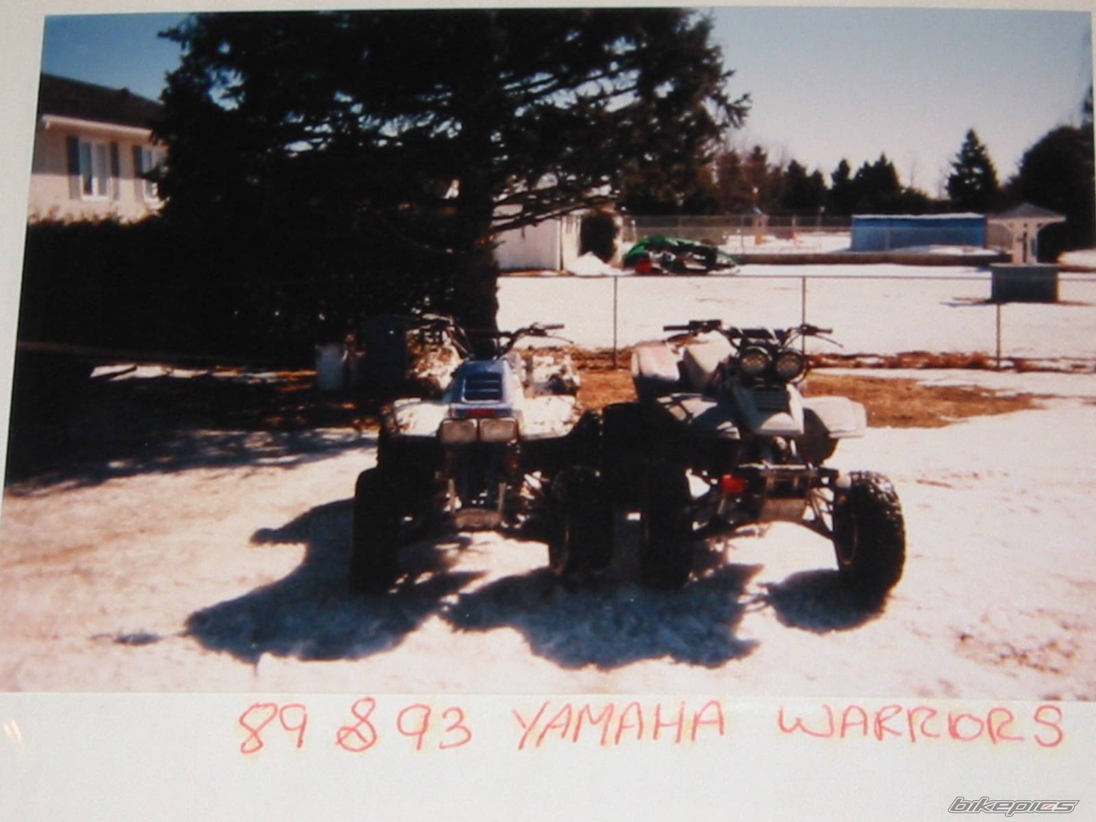 Bike Photo 271780