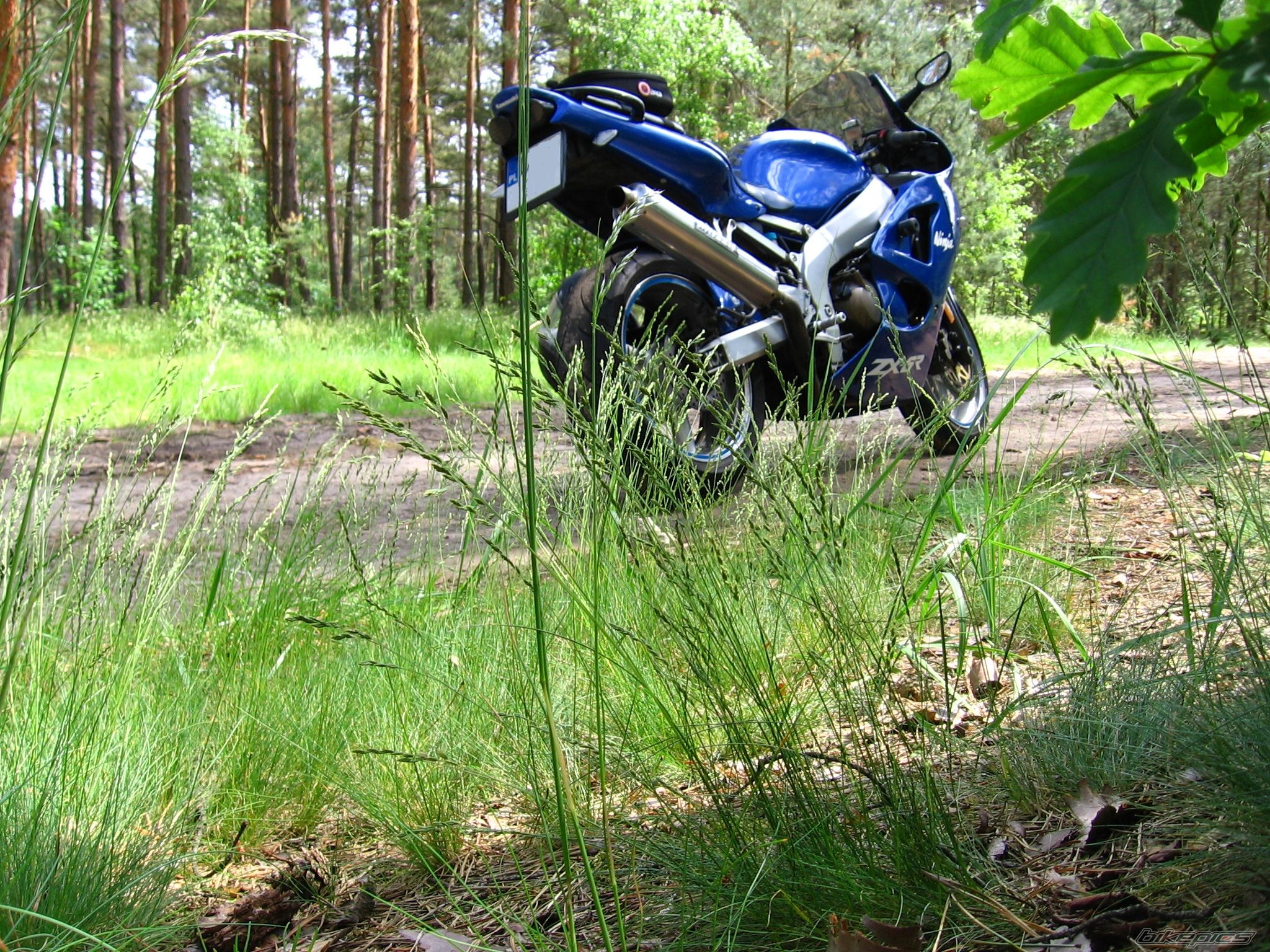 Photo 2717835