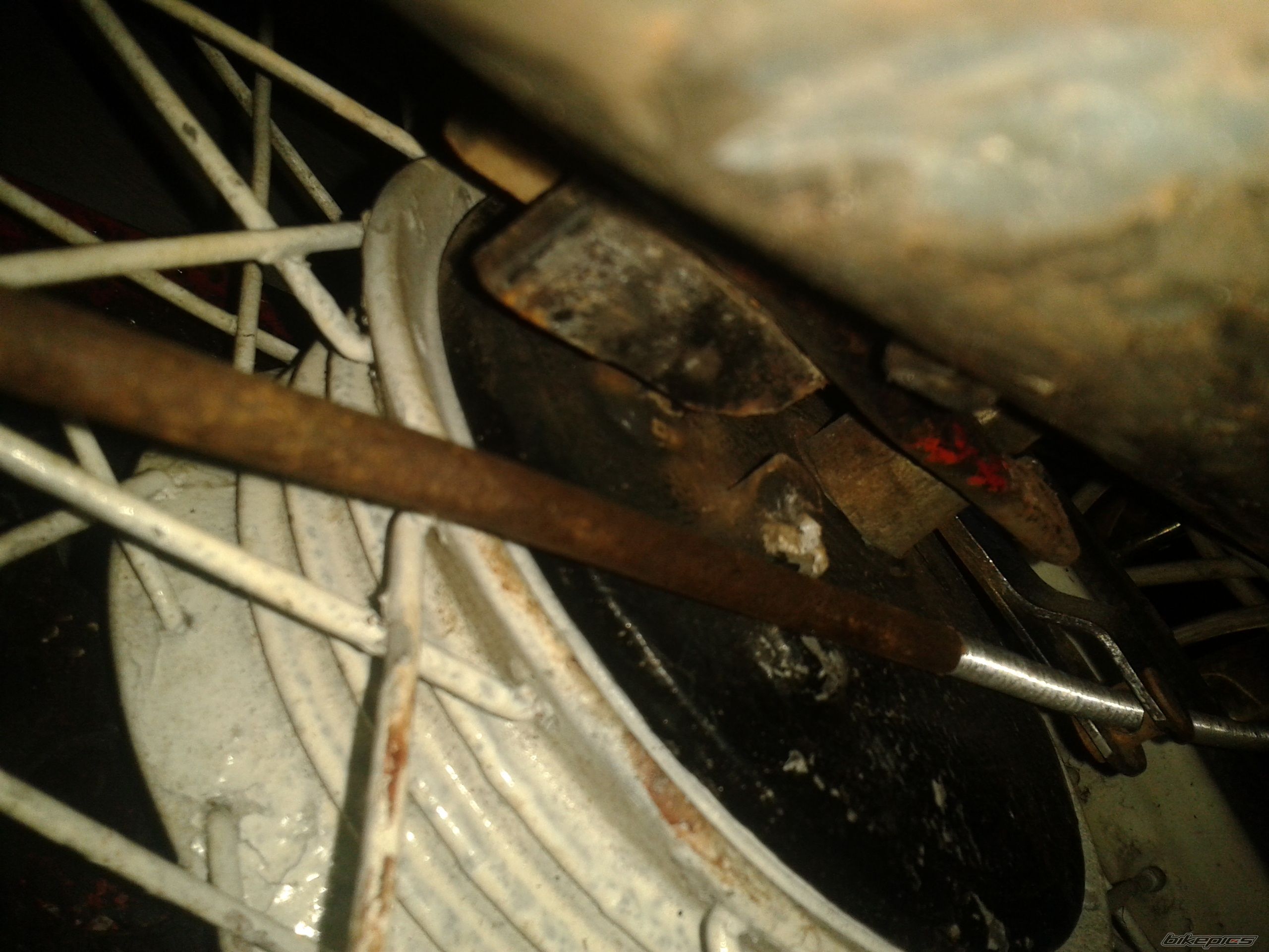 Photo 2717849