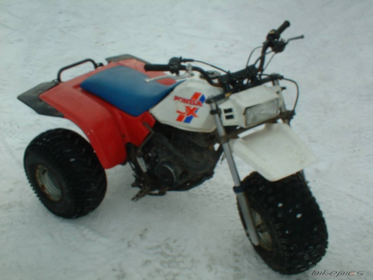 Photo 271785
