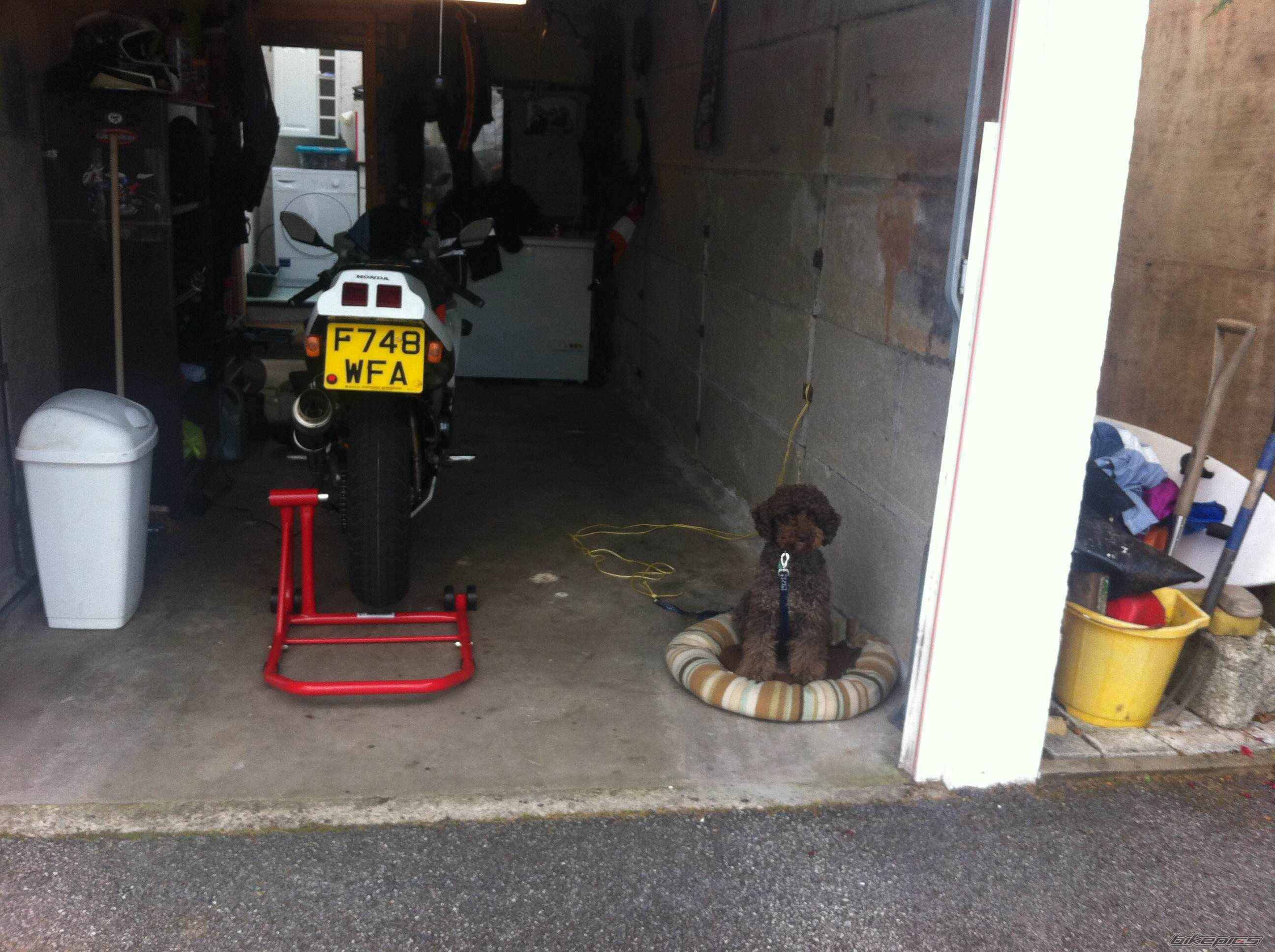 Photo 2717880