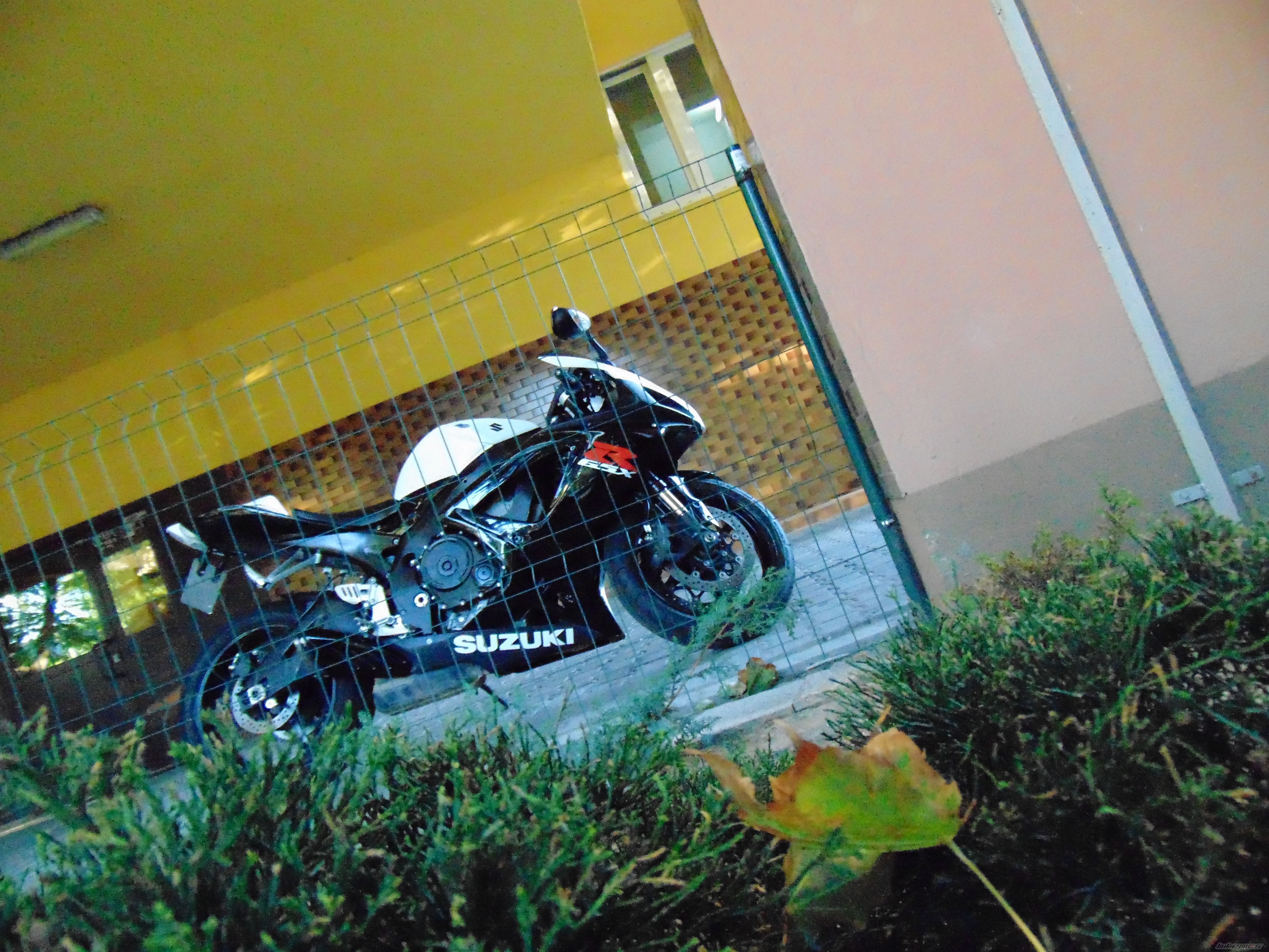 Photo 2717961