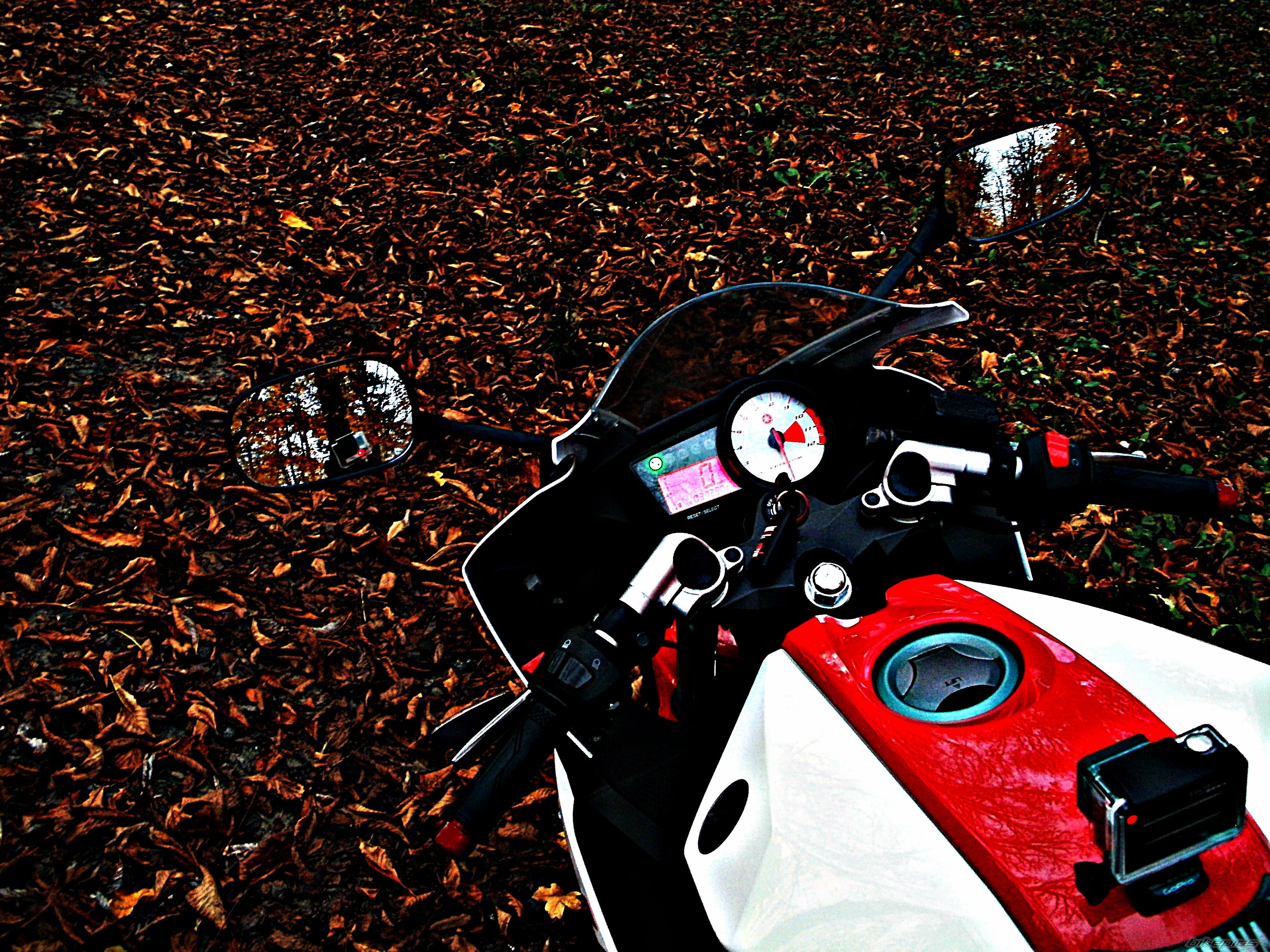 Photo 2718116