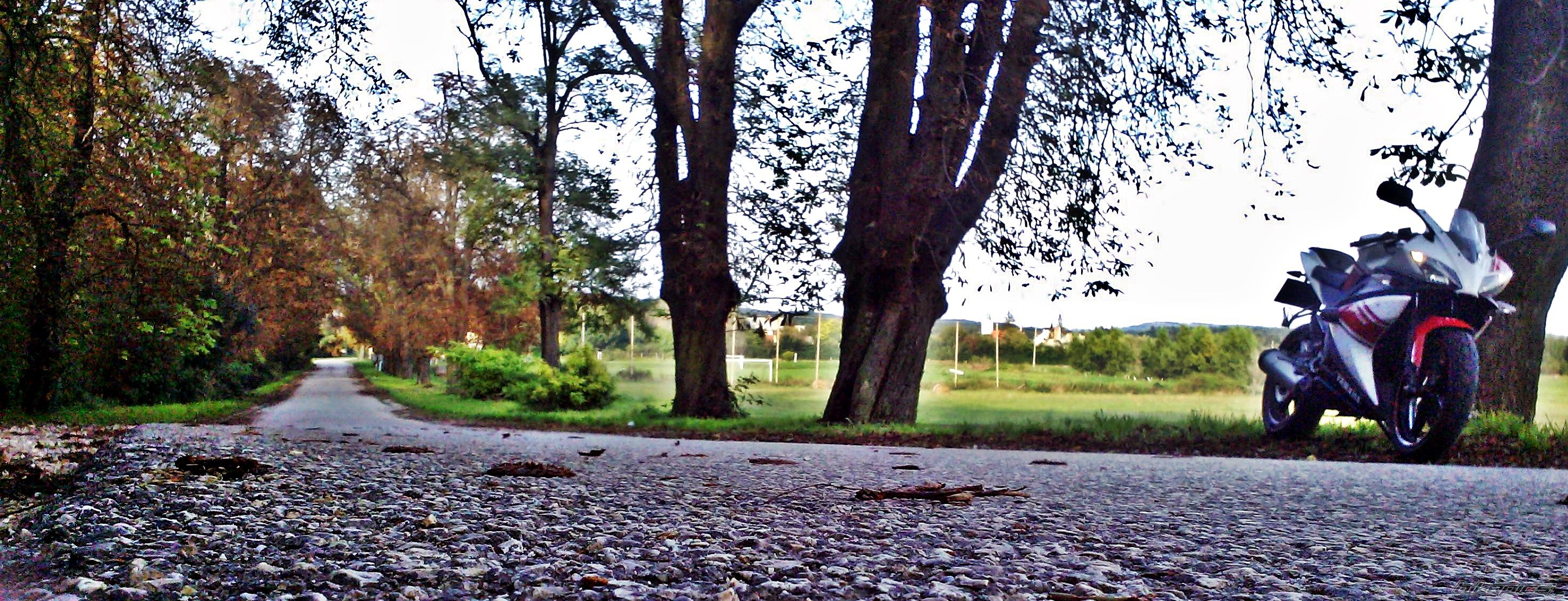 Photo 2718131